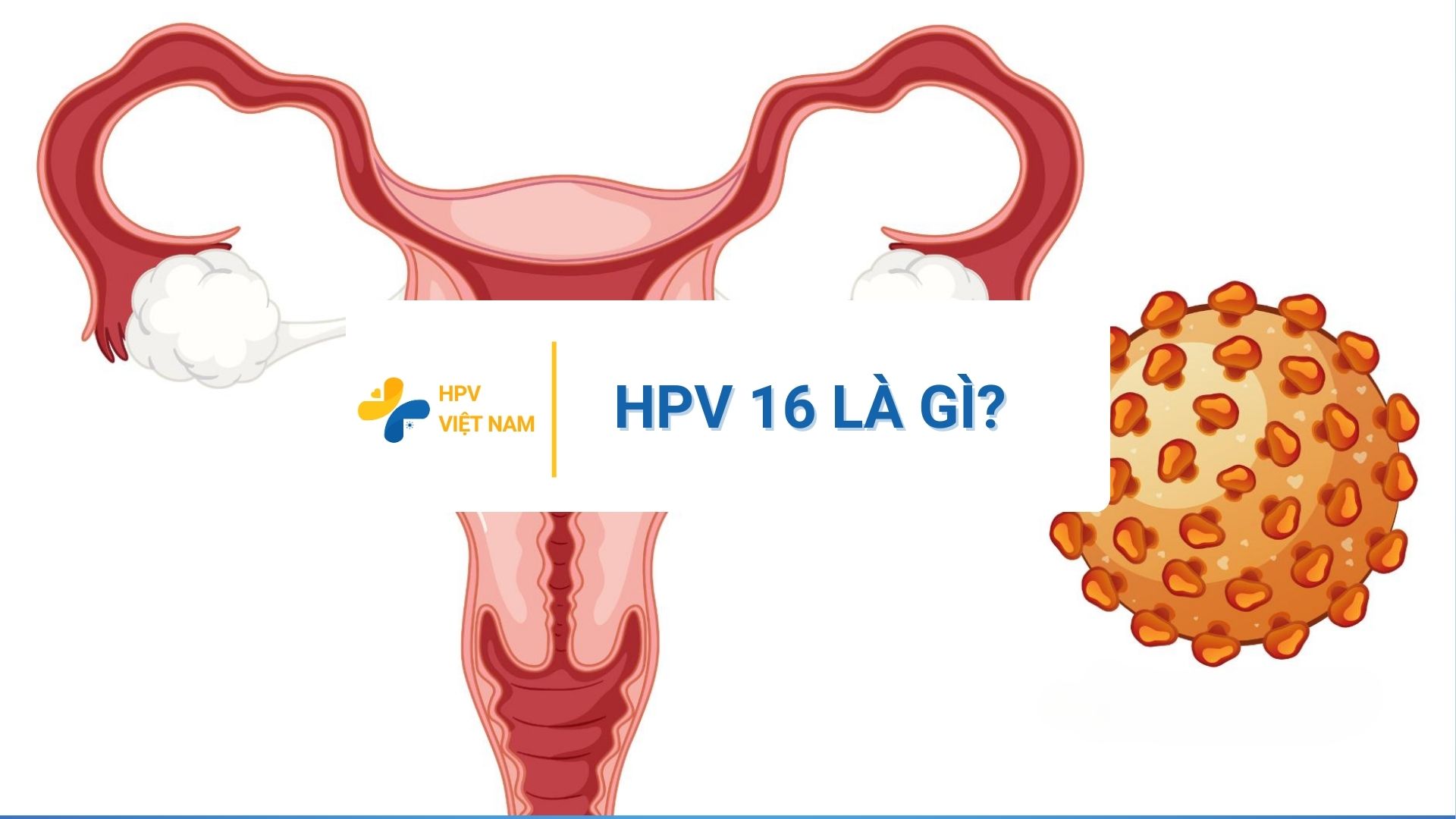HPV 16 là gì