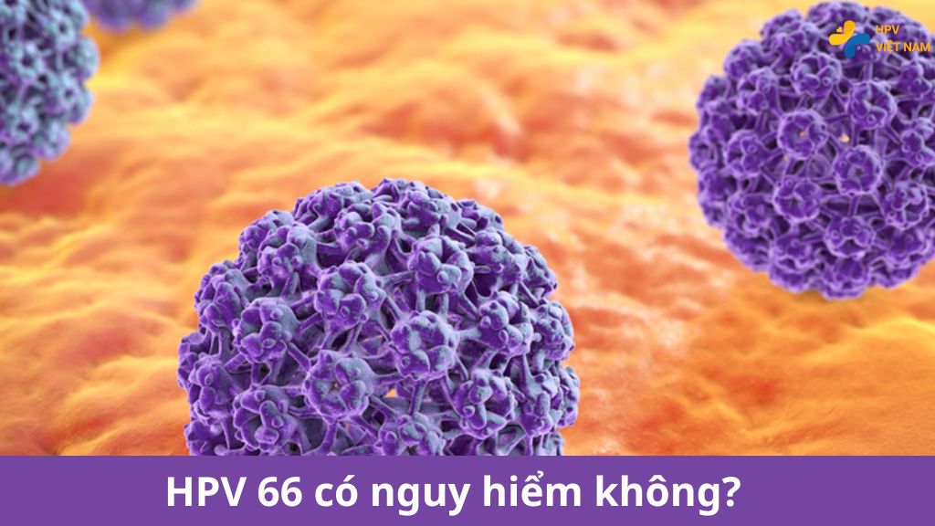 HPV type 66 có nguy hiểm không?