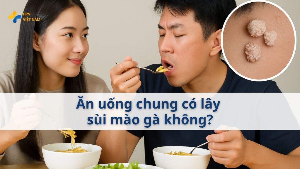 Ăn uống chung có lây sùi mào gà không 