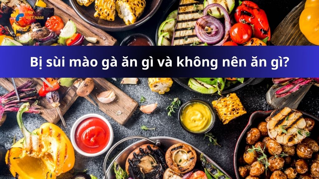 Bị sùi mào gà ăn gì và không nên ăn gì?