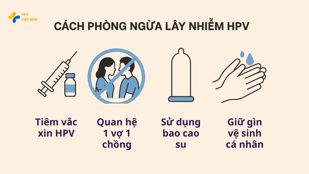 Cách phòng ngừa lây nhiễm HPV ở nam giới