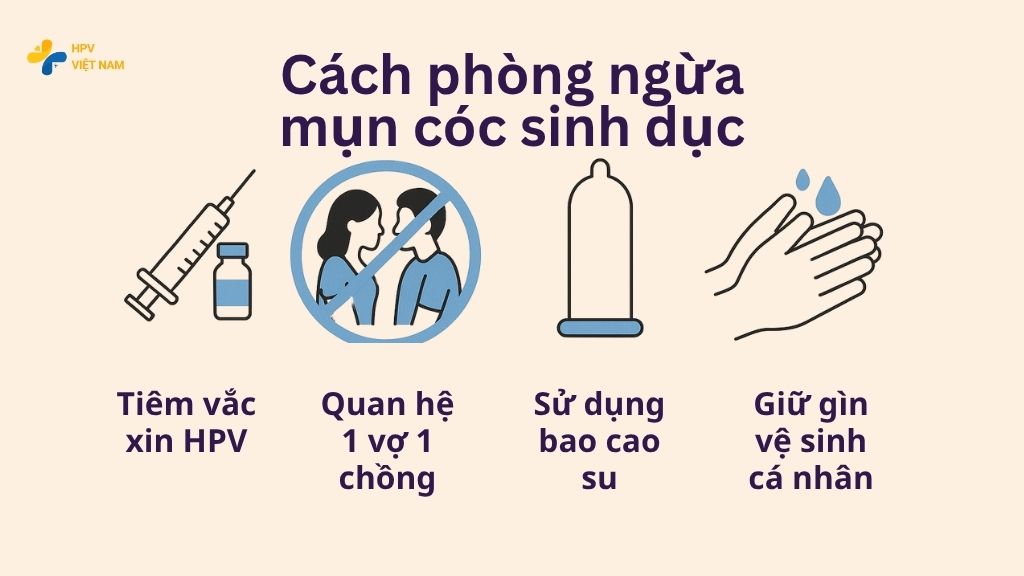 Cách phòng ngừa lây nhiễm mụn cóc sinh dục