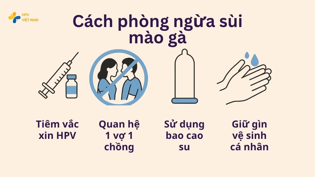Phòng ngừa sùi mào gà tái phát