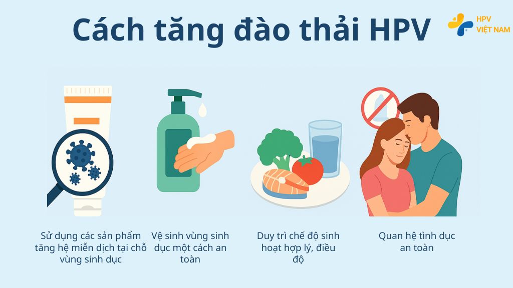 Cách tăng đào thải HPV