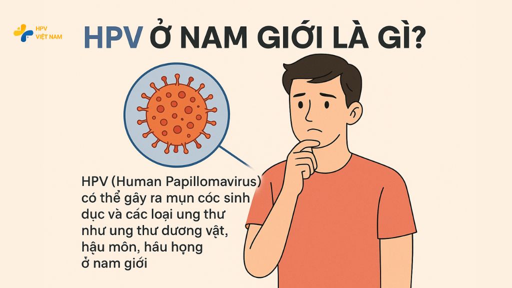 HPV ở nam giới là gì?
