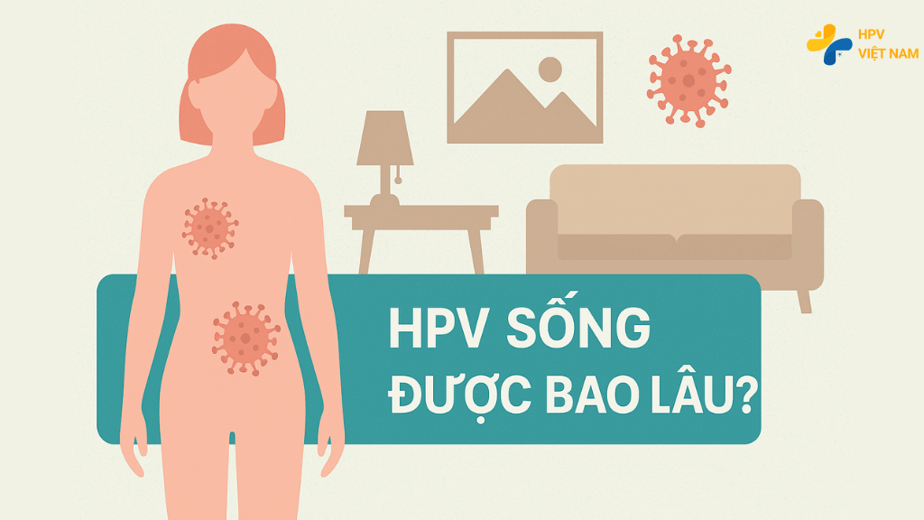 HPV sống được bao lâu trong cơ thể và ngoài cơ thể