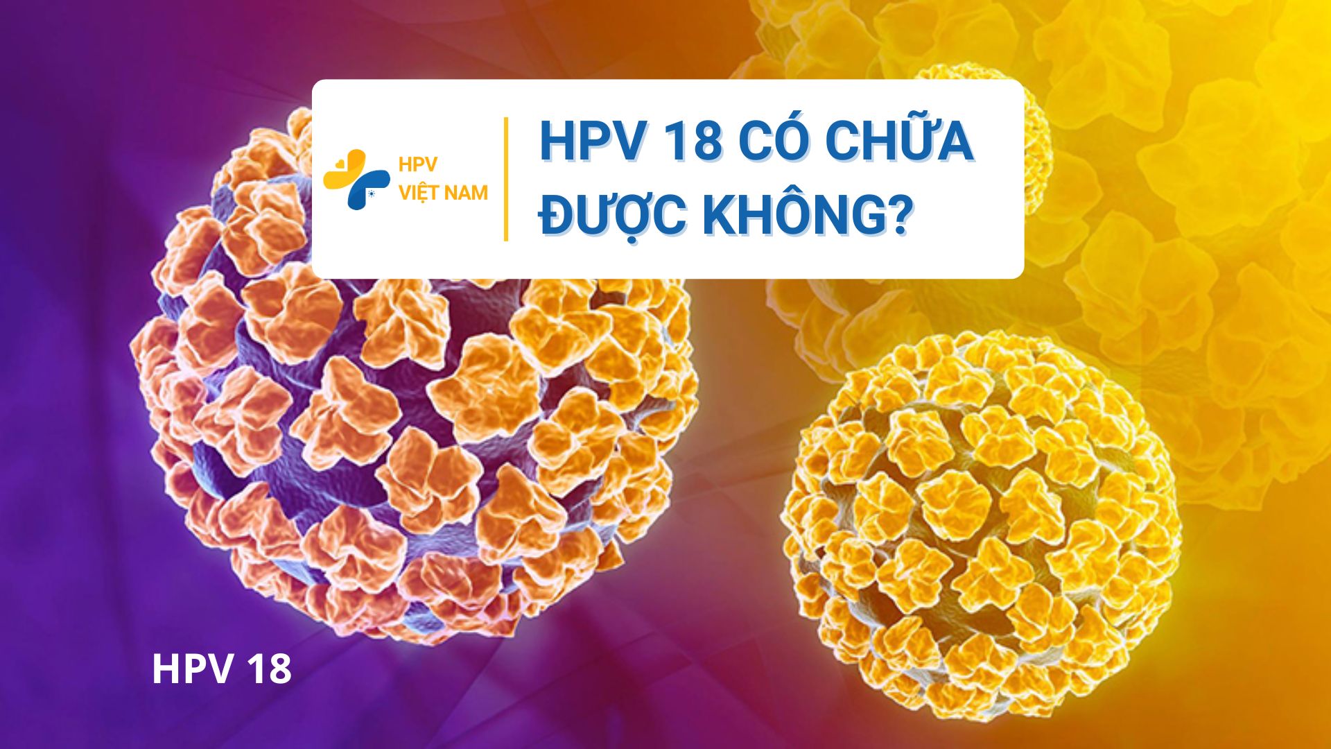 HPV 18 có chữa được không