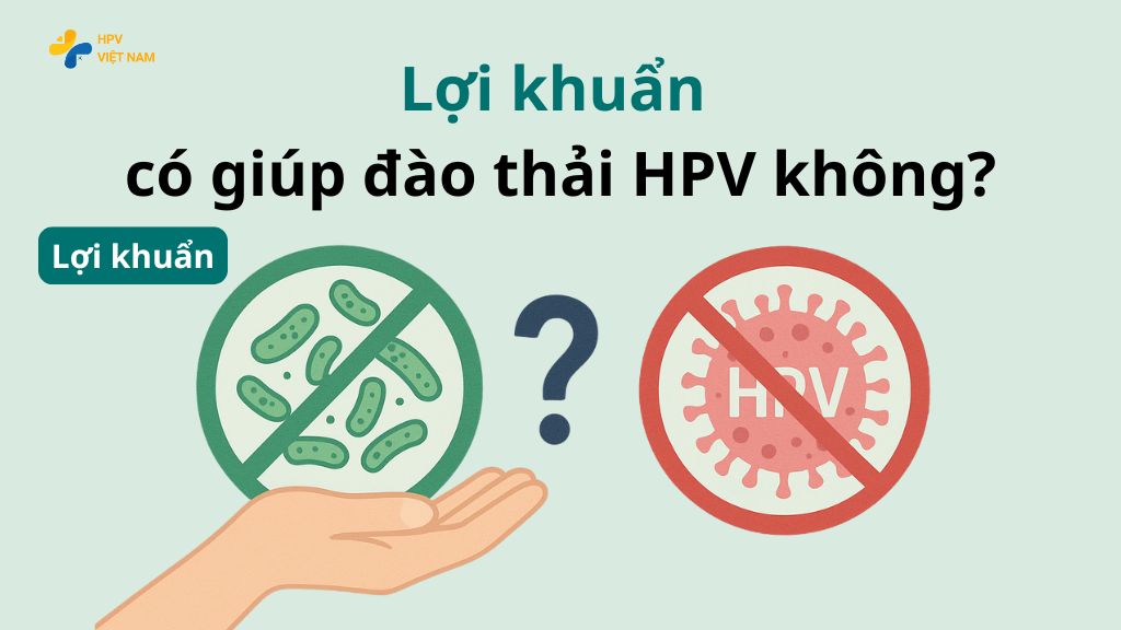 Lợi khuẩn có giúp đào thải HPV không