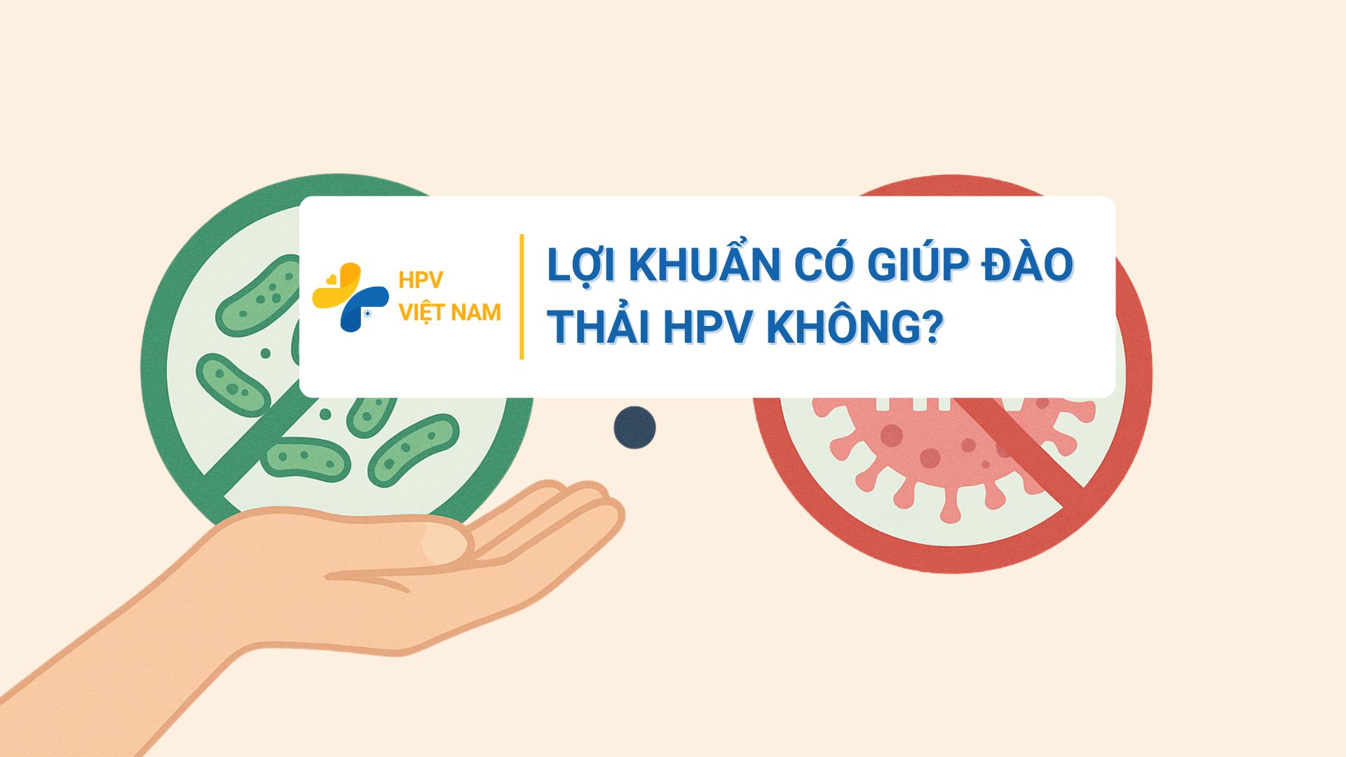 Lợi khuẩn có giúp đào thải HPV không
