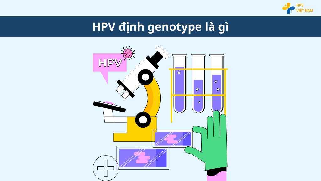 HPV định genotype là gì