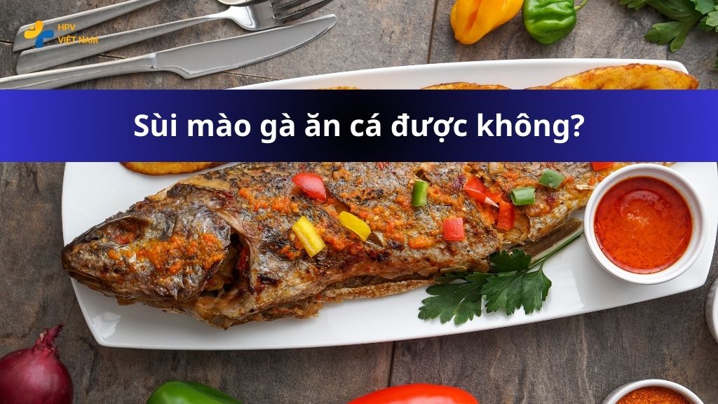 Sùi mào gà ăn cá được không