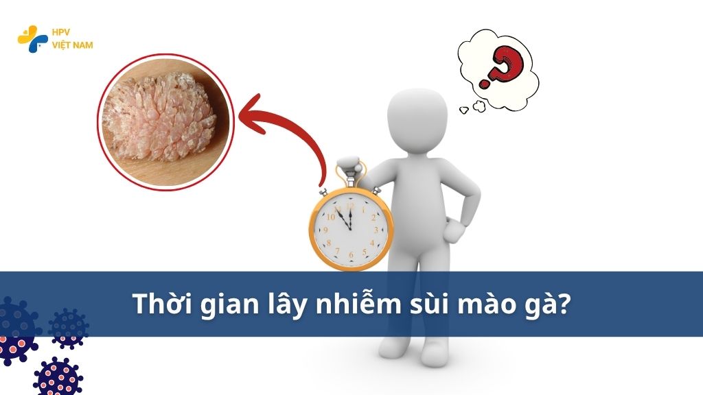 Thời gian lây nhiễm sùi mào gà
